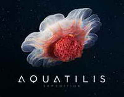 İcbari Tibbi Sığorta Agentliyi nazirliyə verildi - Xəstəxanalar üçün nə dəyişir?